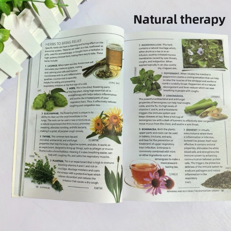 Sustain Me Barbara O'Neill Pod – Health Wellness Lifestyle recenzja i cena