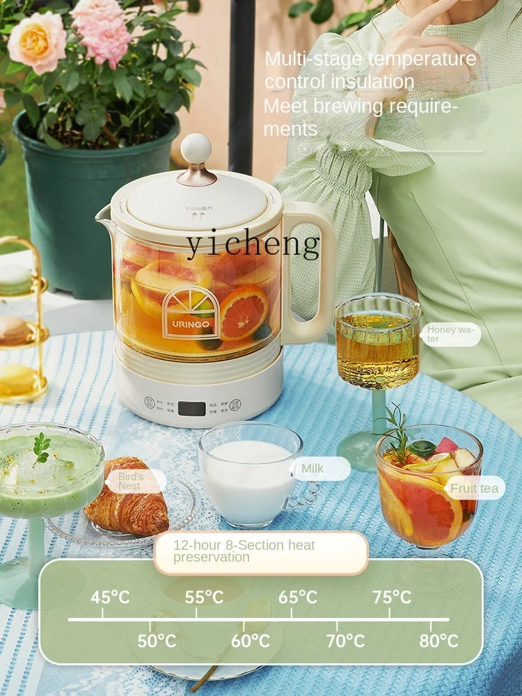 Mały, wielofunkcyjny czajnik d – Health & Wellness Of Carmel recenzja i cena